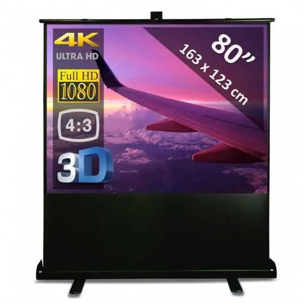 Projection Screen 80" (1.63m x 1.23m)